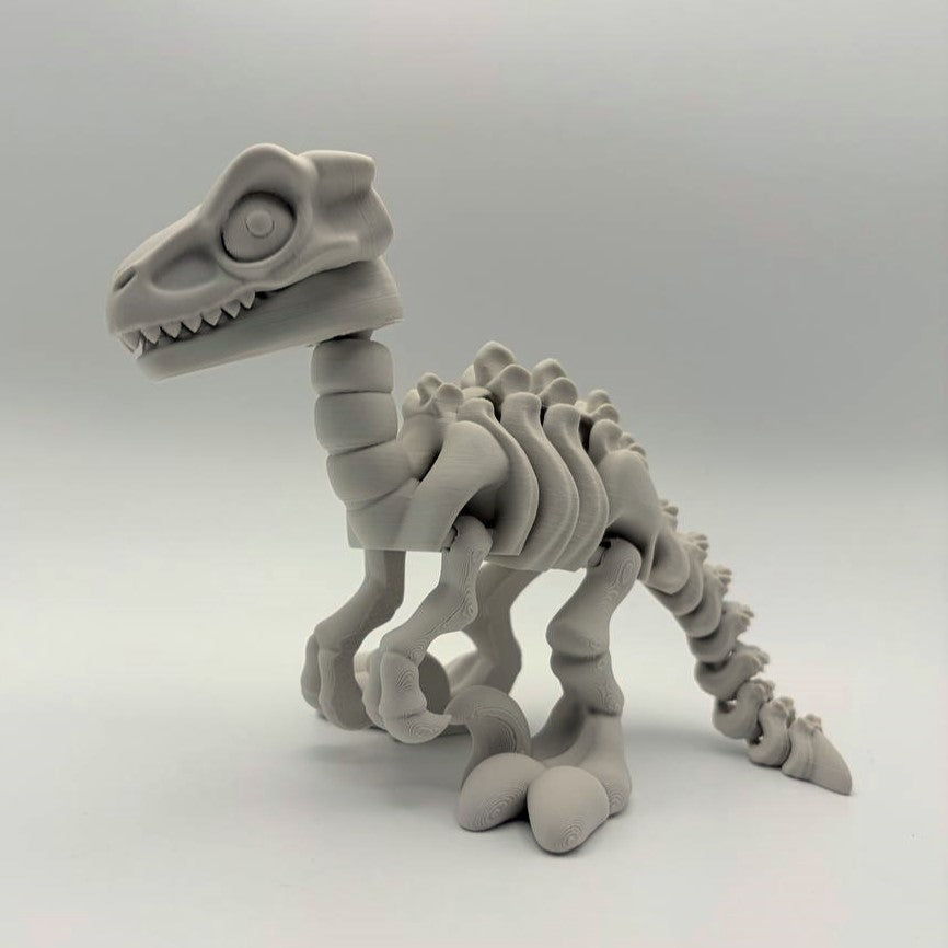 Articulated Skeletal Raptor