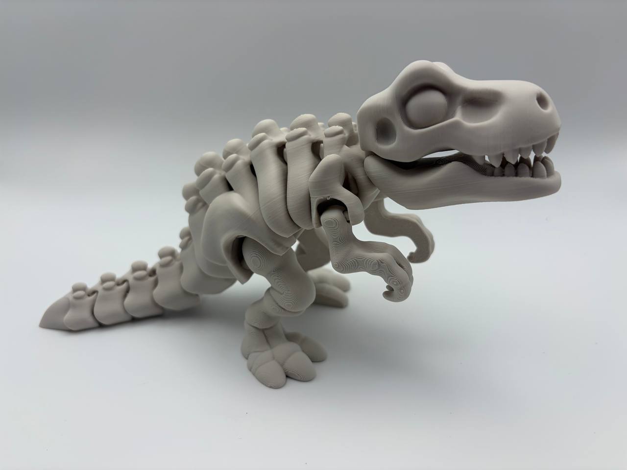Flexi T-Rex Skeleton – 3D Printed