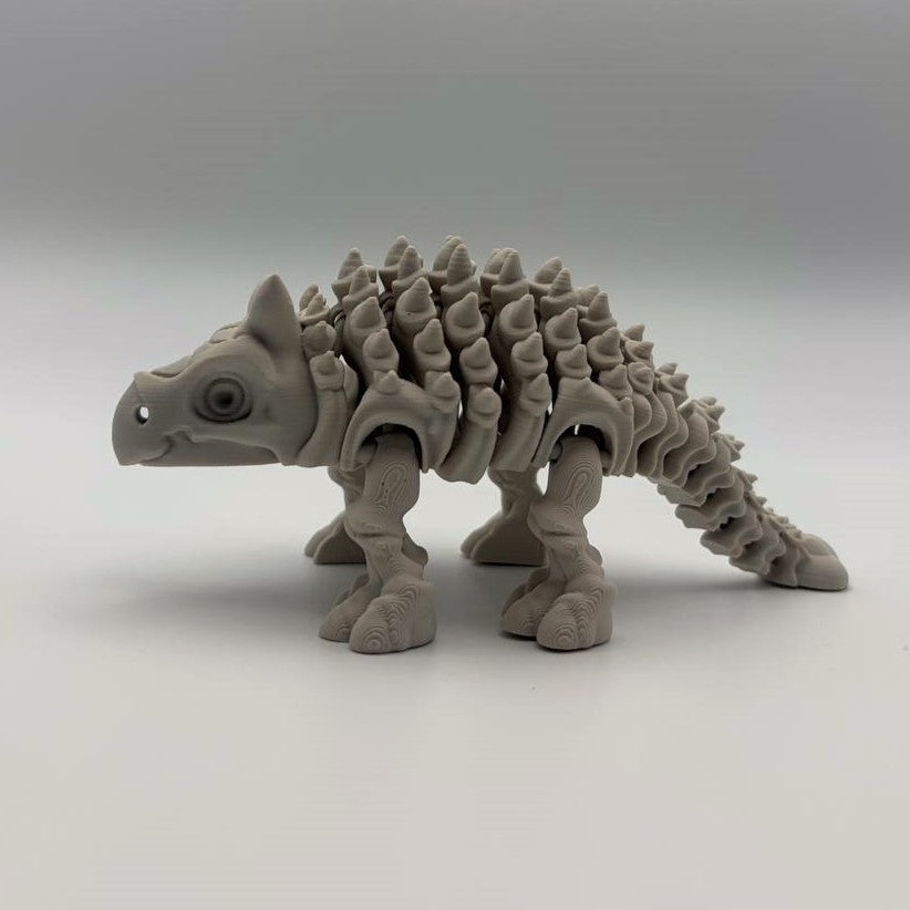 Articulated Skeletal Ankylosaurus