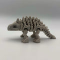 Articulated Skeletal Ankylosaurus