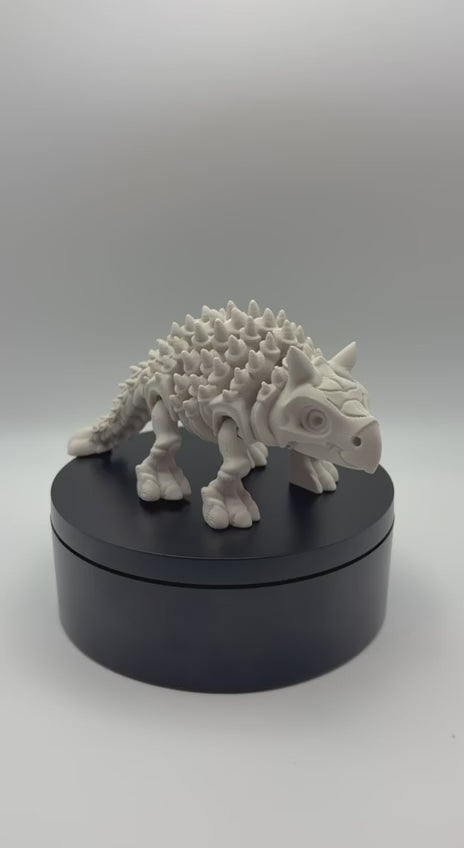 Articulated Skeletal Ankylosaurus