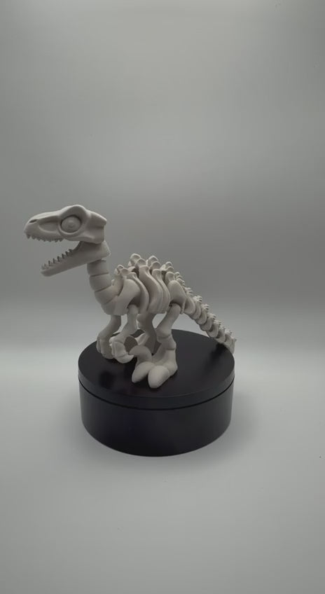 Articulated Skeletal Raptor